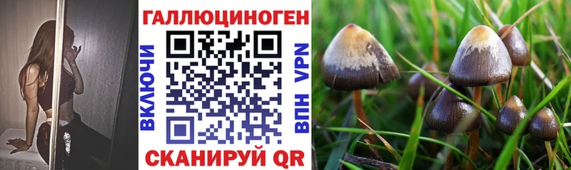 закладки  Ивдель  Галлюциногенные грибы MAGIC MUSHROOMS 